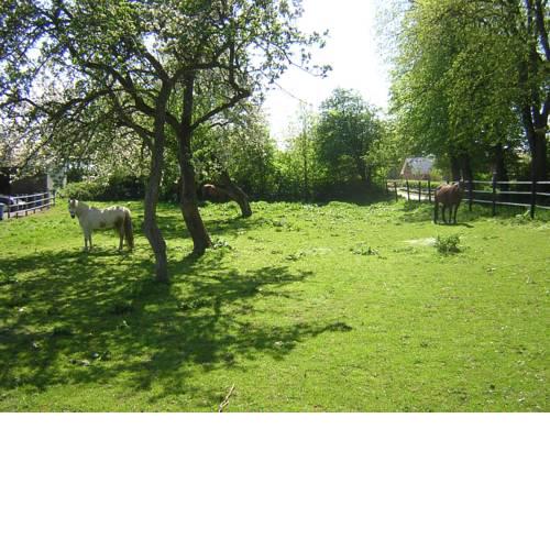 Fördefarm-Natura