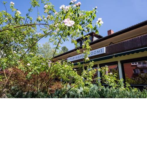 Forest Apartments & Rooms