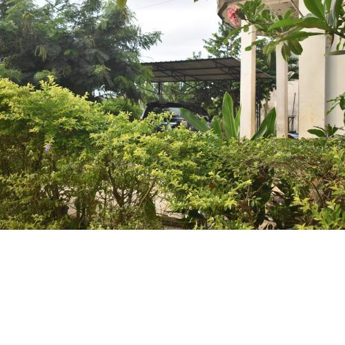 FOUR-G HOMESTAY & Komodo Tour