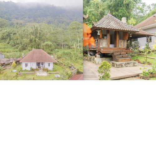 Four Monkeys House by Bukit Vista
