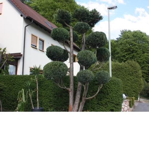 Cozy Apartment in Wichenstein with Large Garden