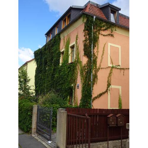 Frank´s Ferienwohnung in Dresden