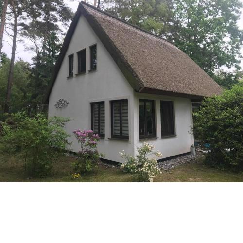 Freistehendes 4 Personen Ferienhaus in unmittelbarer Strand- u. Waldnähe in Glowe auf Rügen