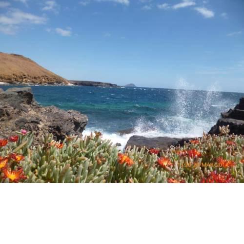 Frontera Primavera