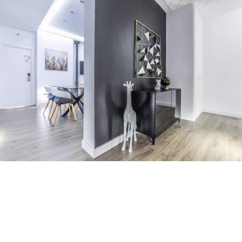 FUENCARRAL LUXURY FLAT