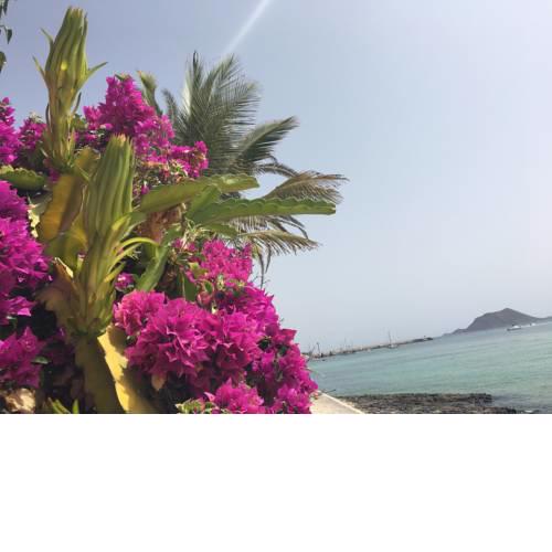 FUERTEVENTURA BEACHHOUSE