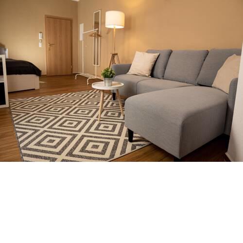 FULL HOUSE Studios - Deer Apartment - NETFLIX + WiFi inkl.