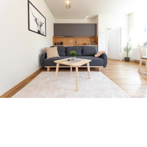 FULL HOUSE Studios - The Buffalo Apartment - NTFLX + WiFi