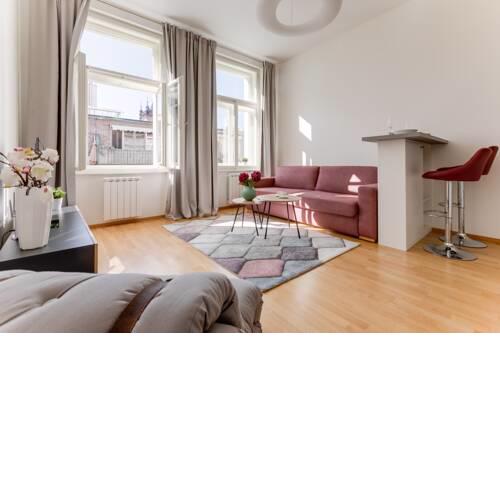 Fully equipped, luxury apt in downtown