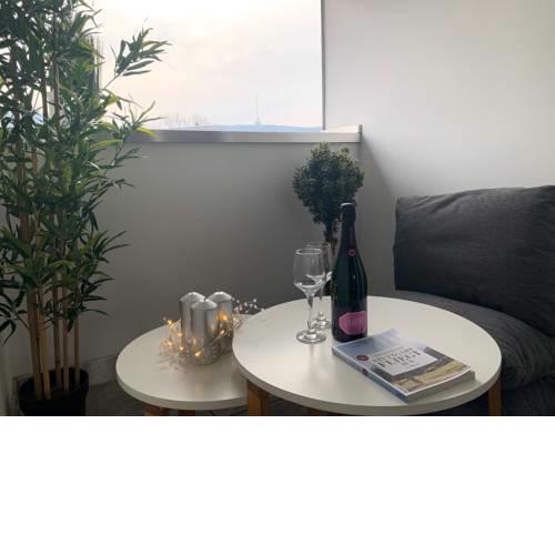 Fully furnished high standing Apartment, central location, quite with Parking