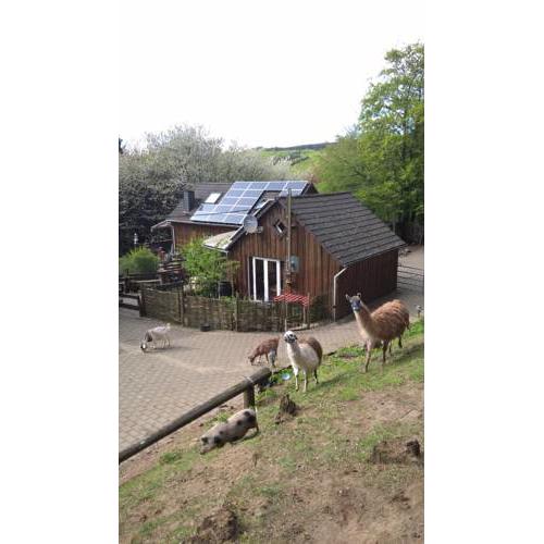 Funny-Farm