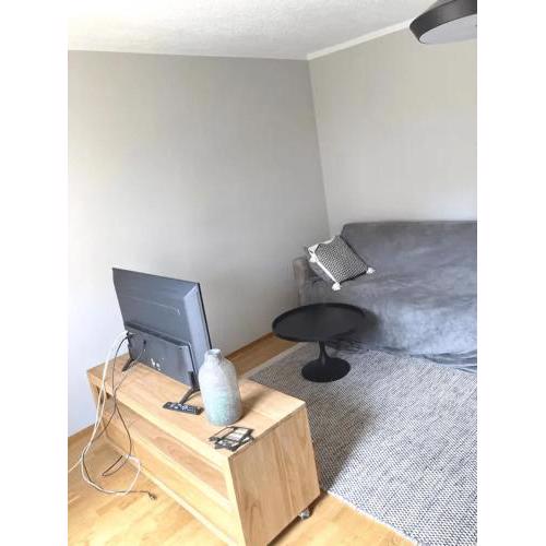 Furnished flat in Offenbach with all comfort