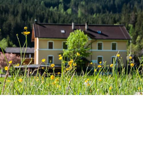 Gabis Lodge