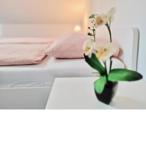 Ganze 3 Zimmer Wohnung 120qm