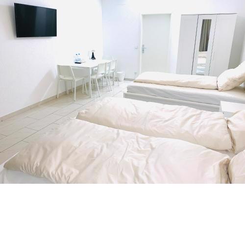 Ganzes Apartment 20 min vom Frankfurt HBF