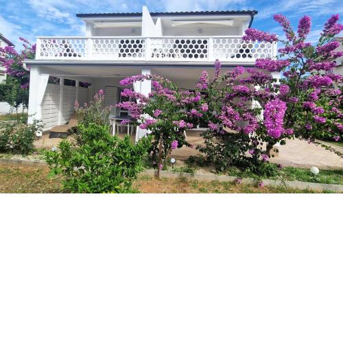 Garden apartments