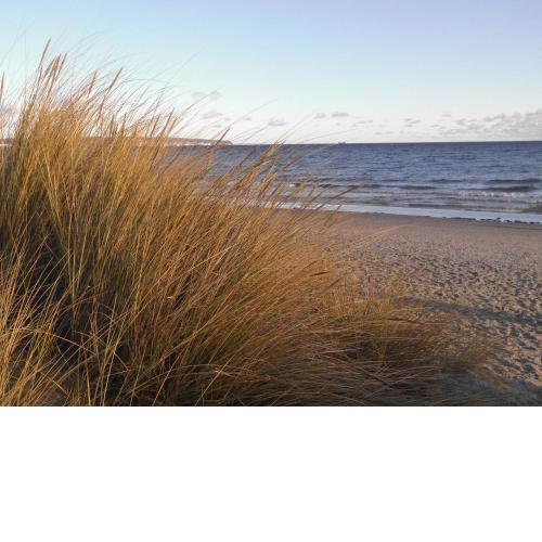 Gardensuite Binz