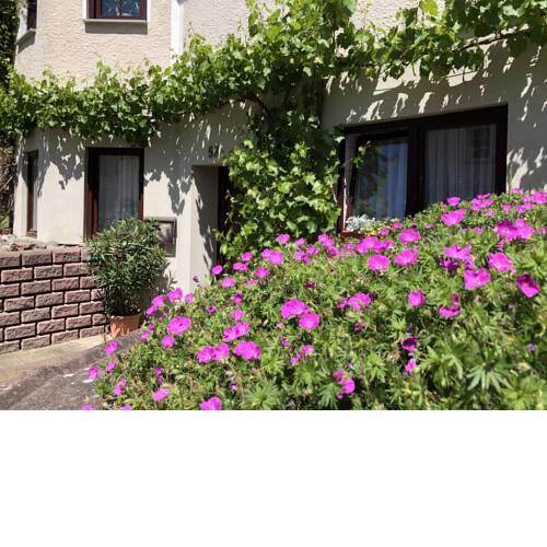 Gartenblick