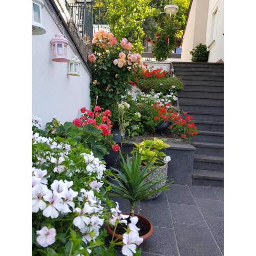 Gartenstudio Anila I. und II.