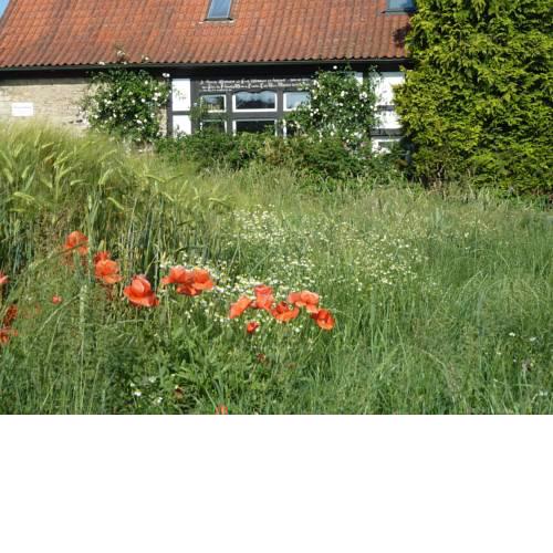 Gästehaus bei Veronica