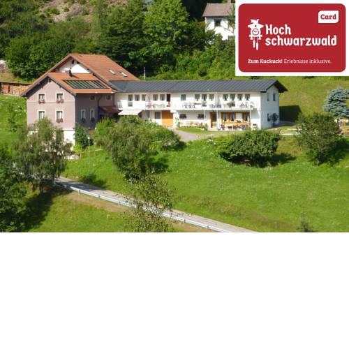 Steiert Panorama Apartments Todtnau