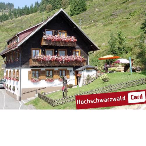Gästehaus Wild