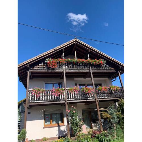 Gästehaus zum Rhein