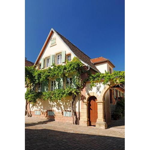 Gästehaus Zum Weinbauer