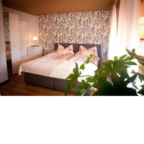 Gästezimmer im Grünen Haus