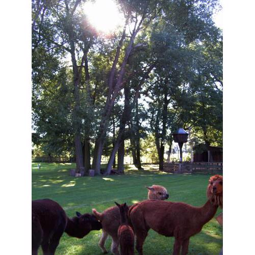 Gästezimmer im Tierpark Tirica