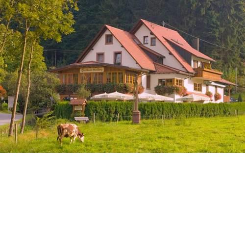 Gasthaus - Pension Hohberg