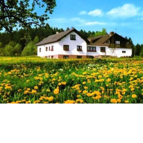 Gasthaus-Pension Zum Brandweiher