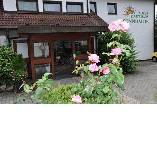 Gasthof Adler Güttingen