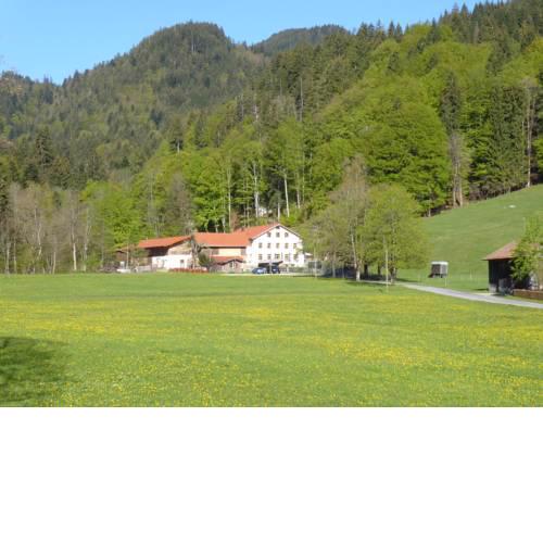 Gasthof Fallmühle