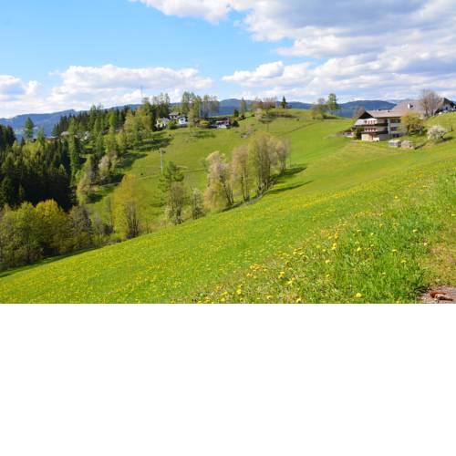 Gasthof Ochnerbauer