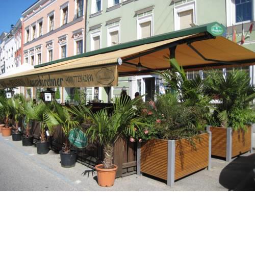 Gasthof Pension Baumkirchner