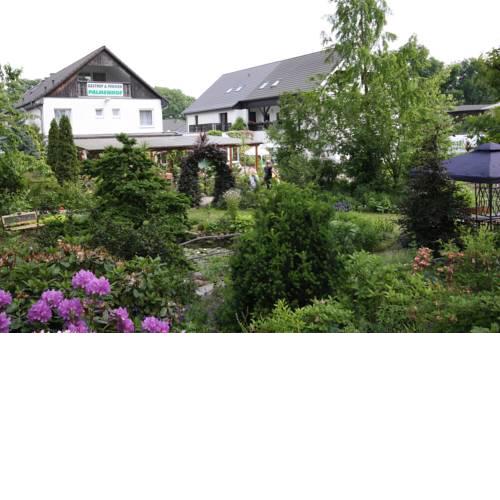 Gasthof & Pension Palmenhof