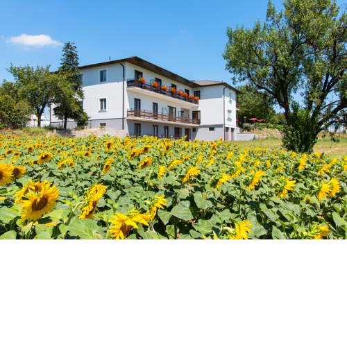 Gasthof-Pension Wein
