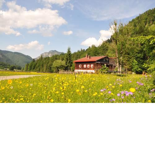 Gatterl zum See