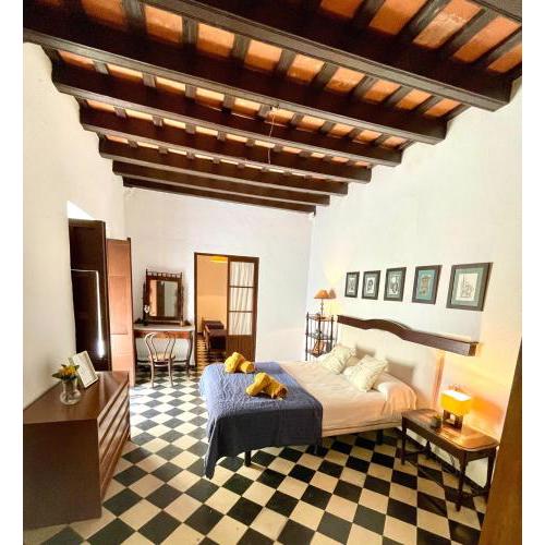 GATU LA CASONA DE 1900