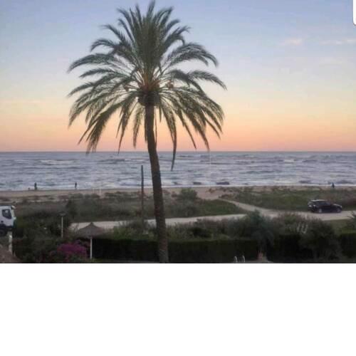 Gavines primera línea del mar