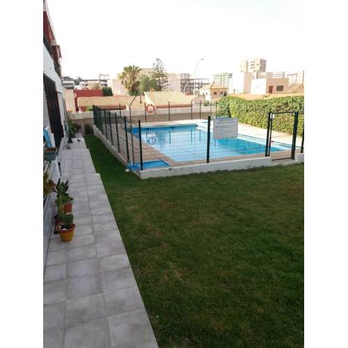 Gaviotas 4