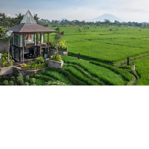 Gdas Bali Health and Wellness Resort