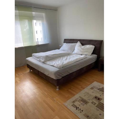 Gemütliche 60m2 in Graz