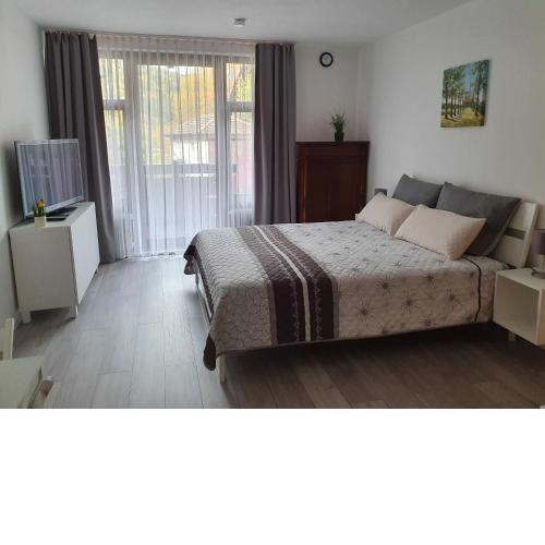 Gemütliche Ferienwohnung am Kurpark in Bad Herrenalb