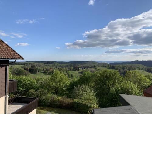 Gemütliche Ferienwohnung Harz Braunlage Hohegeiß