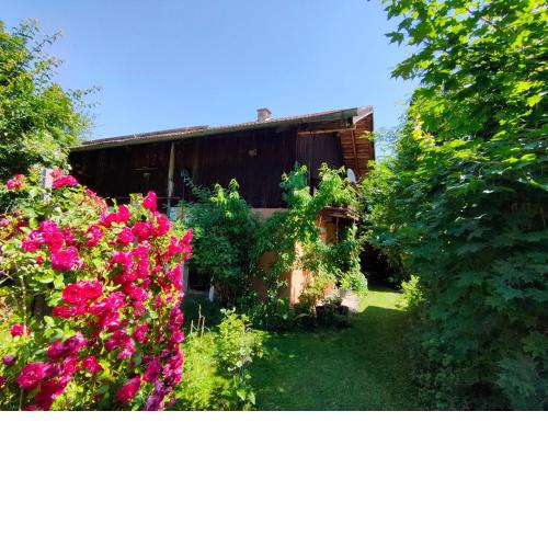 Gemütliche Ferienwohnung mit Kamin und Garten