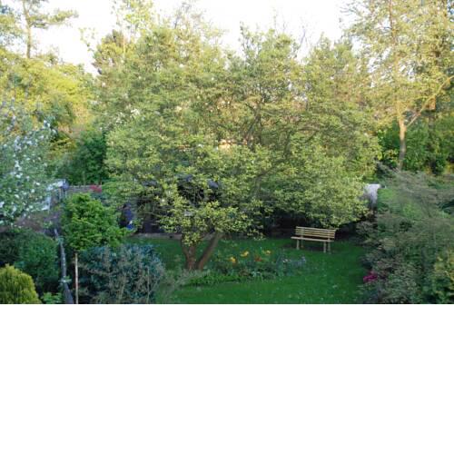 Gemütliche große Wohnung mit Gartenblick und Balkon