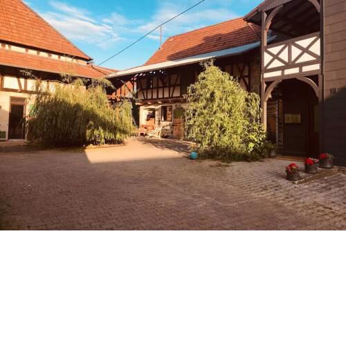 Gemütliche Landhaus Wohnung auf dem Ponyhof - Himmelbett, Kamin & Garten - Pferde & Hunde willkommen