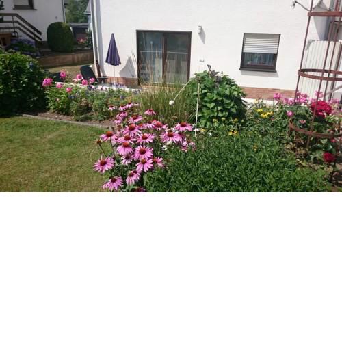 Gemütliche Wohnung im Westerwald, mit einer großen Terrasse!!